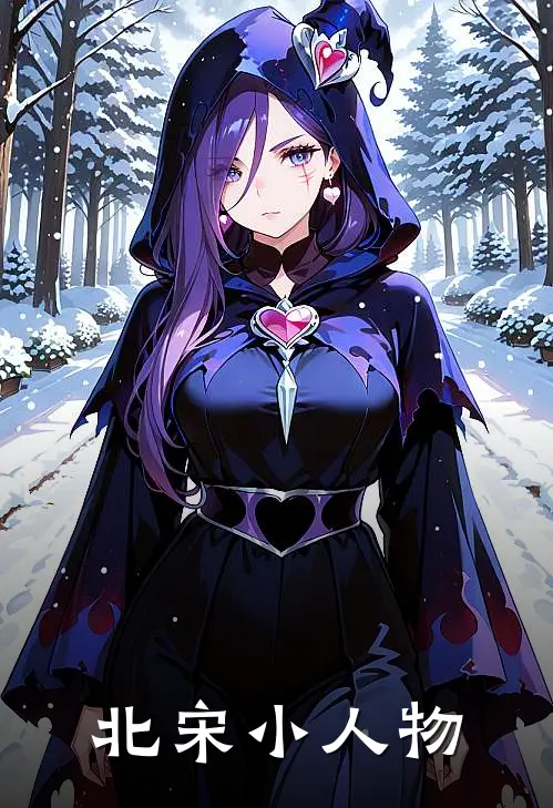 北宋小人物