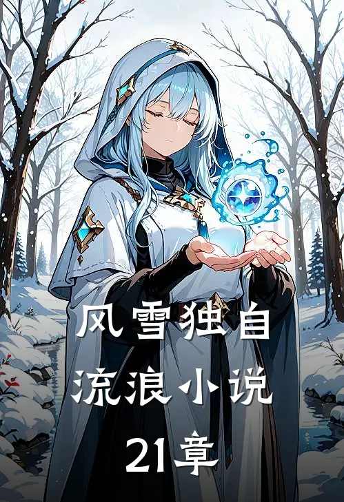 风雪独自流浪小说21章