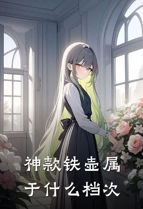 神款铁壶属于什么档次