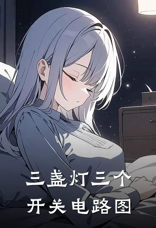 三盏灯三个开关电路图