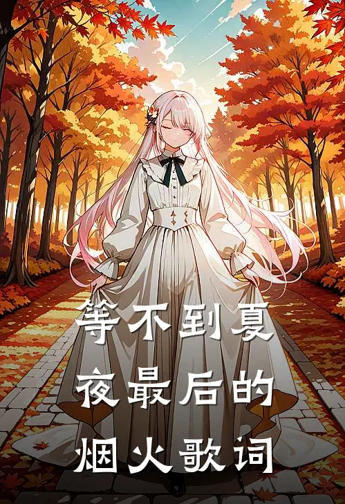 等不到夏夜最后的烟火歌词